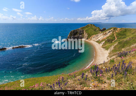 Mann-o Krieg Bay in der Nähe von Durdle Door, Jurassic Coast, South Coast, Dorset, England, UK, gb Stockfoto