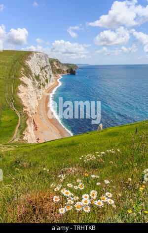 Bat-Kopf, zu Fuß von Durdle Door zu osmingon Bay jurassic Heritage Küste von Dorset England uk Gb Stockfoto