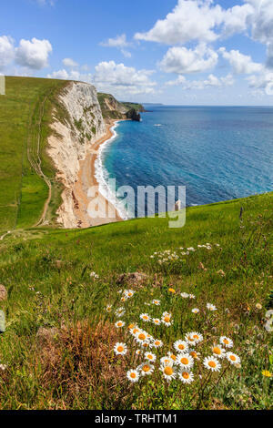 Bat-Kopf, zu Fuß von Durdle Door zu osmingon Bay jurassic Heritage Küste von Dorset England uk Gb Stockfoto