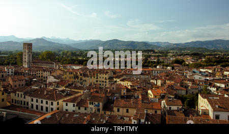 Blick über die Stadt Lucca in Italien Stockfoto