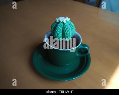 Hausgemachte gestricken Kakteen in sehr alten Porzellan Eierbecher Stockfoto