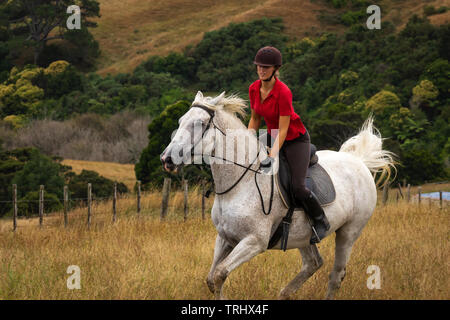Ein Schuss von einem schönen Glücklich lächelnde junge Frau in einem roten polo shirt reiten ihr weißes Pferd durch lange getrocknet goldene Farbe Gräser auf einer sonnigen gekleidet Stockfoto