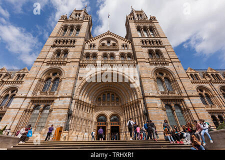 National History Museum in London, England, UK Stockfoto