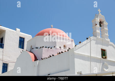 Rote Kuppel der Glockenturm der Kirche mit Tauben gefüttert und. Einer von 365 Kirchen auf der Insel Mykonos, Kykladen, Griechenland. Stockfoto