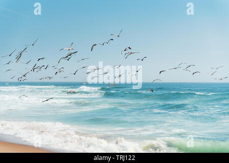 Schöne Seenlandschaft in Blau und Türkis Farben und Schwarm Vögel Stockfoto