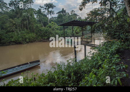 Eine Plattform mit Blick auf den Fluss Tiputini in den Amazonas Dschungel Ecuadors, eine der wildesten Orte auf der Erde. In Yasuni Nationalpark. Stockfoto