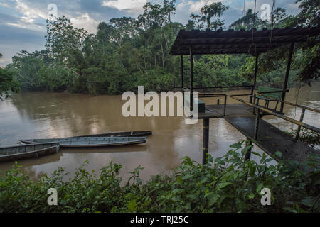 Eine Plattform mit Blick auf den Fluss Tiputini in den Amazonas Dschungel Ecuadors, eine der wildesten Orte auf der Erde. In Yasuni Nationalpark. Stockfoto