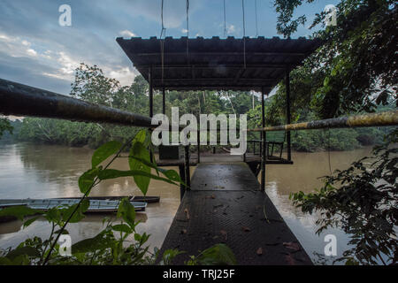 Eine Plattform mit Blick auf den Fluss Tiputini in den Amazonas Dschungel Ecuadors, eine der wildesten Orte auf der Erde. In Yasuni Nationalpark. Stockfoto