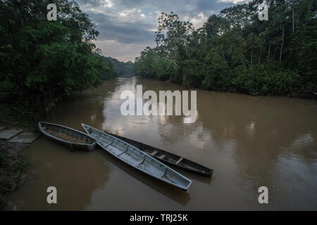 Kanus schweben in der tiputini Fluss in Yasuni Nationalpark, durch die Wüste und artenreichen Regenwald im Amazonasbecken umgeben. Stockfoto