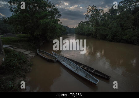 Kanus schweben in der tiputini Fluss in Yasuni Nationalpark, durch die Wüste und artenreichen Regenwald im Amazonasbecken umgeben. Stockfoto