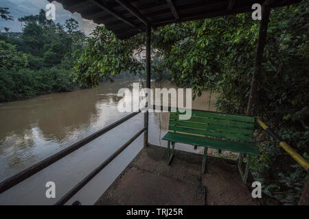 Eine Plattform mit Blick auf den Fluss Tiputini in den Amazonas Dschungel Ecuadors, eine der wildesten Orte auf der Erde. In Yasuni Nationalpark. Stockfoto