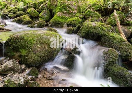 Wasser Streaming über felsigen Wasserfällen entlang der berühmten gertelbach Wasserfälle, Schwarzwald, Deutschland Stockfoto