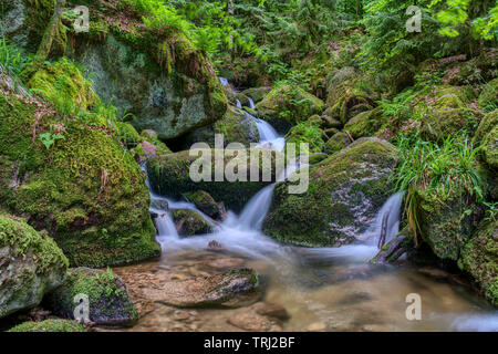 Wasser Streaming über felsigen Wasserfällen entlang der berühmten gertelbach Wasserfälle, Schwarzwald, Deutschland Stockfoto