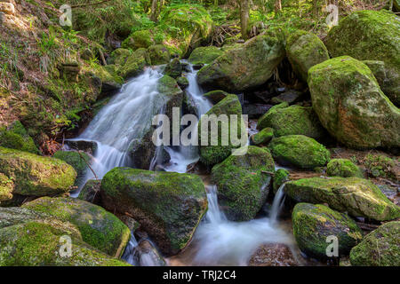 Wasser Streaming über felsigen Wasserfällen entlang der berühmten gertelbach Wasserfälle, Schwarzwald, Deutschland Stockfoto