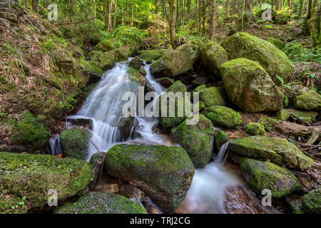 Wasser Streaming über felsigen Wasserfällen entlang der berühmten gertelbach Wasserfälle, Schwarzwald, Deutschland Stockfoto