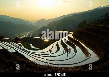 MU CANG CHAI, VIETNAM - Mai 25, 2019: Ein unbekannter Mann Eggen die Felder bei Sonnenuntergang. Stockfoto