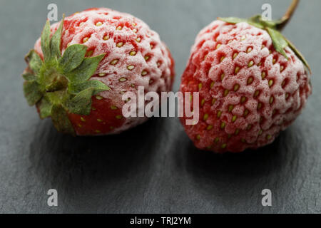 Close-up an gefrorenen Erdbeeren abgedeckt durch Frost Stockfoto