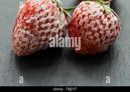 Close-up an gefrorenen Erdbeeren abgedeckt durch Frost Stockfoto