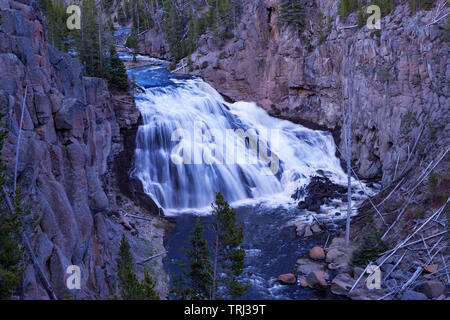 Die 84 Fuß hohe Gibbon fällt auf das Gibbon River zwischen den Norris Geyser Basin und Madison Junction im Yellowstone National Park befindet. Stockfoto