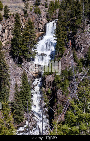 Lava Creek fällt in drei stürzt, wie es über die 60 Fuß Felswand von Undine fällt in den Mammoth Region des Yellowstone National Park. Stockfoto