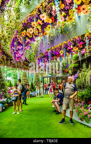 Singapur - 30 April 2019: Eingang der neuen Attraktion der Gärten durch die Bucht, Floral Fantasy. Floral Fantasy ist die neueste thematischen Attraktion bei den Ga Stockfoto