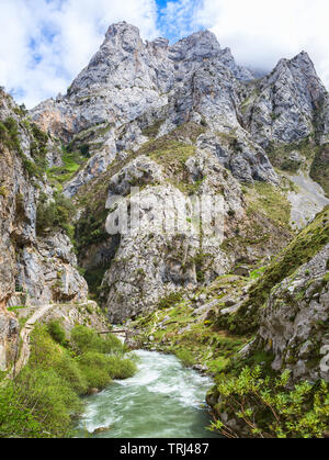 Blick vom Wanderweg (Cares Trail oder Ruta del Cares) entlang des Flusses Cares im Frühjahr (in der Nähe von Kain), Picos de Europa National Park in der Provinz Leon, S Stockfoto