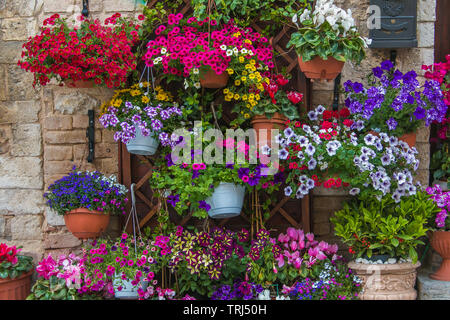 Fantastische Tür des alten Hauses in Spello mit Vase mit Blumen dekoriert Stockfoto