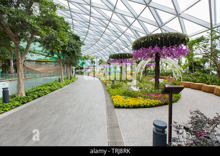 Blick auf die Landschaftsgestaltung auf den Canopy Park am Jewel Changi Airport, keine Leute, die einen sauberen Blick auf das Design zeigen. Hier kann man sich entspannen und entspannen. Singapur Stockfoto