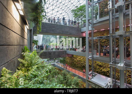 Langsam den Blick auf die Innenausstattung entspricht der Natur an Juwel Changi Airport, Singapur Stockfoto