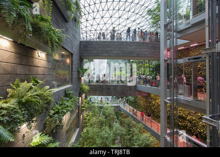 Langsam den Blick auf die Innenausstattung entspricht der Natur an Juwel Changi Airport, Singapur Stockfoto