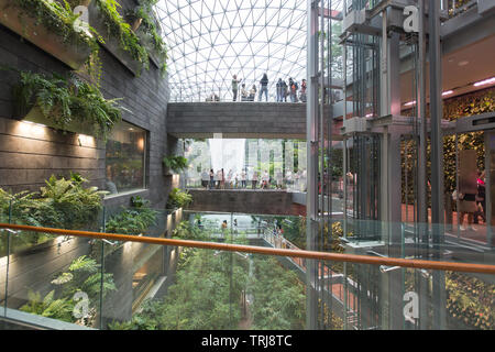 Genießen Sie langsam den Blick auf Innendesign und grüne Natur am Jewel Changi Airport, Singapur. Stockfoto