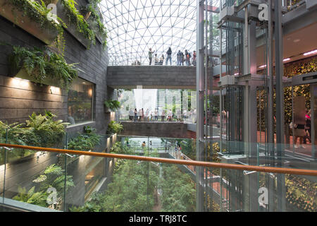 Langsam den Blick auf die Innenausstattung entspricht der Natur an Juwel Changi Airport, Singapur Stockfoto