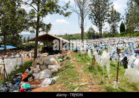 Ruanda, Kigali, Kunststoff Recycling bei Firma ecoplastics, Arbeiter sauber und trocken Folien vor der Verarbeitung zu Granulat, das für neue Erzeugnisse aus Kunststoff verwendet wird, weitere Bilder: www.visualindia.de Stockfoto