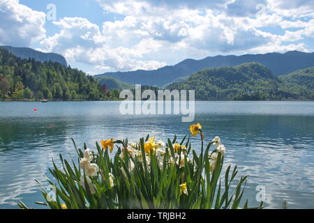 Malerischer Blick auf den See in Slowenien thriugh die blühenden Blumen Stockfoto