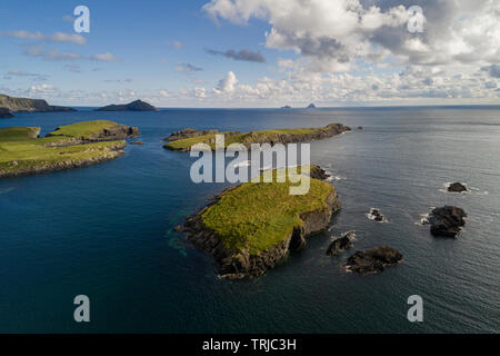 Klippen aus Bray Head auf Valentia Island, County Kerry, Irland Stockfoto