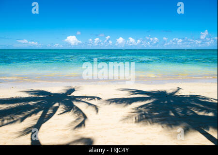 Palmen Casting Shadows am Ufer eines tropischen brasilianischen Insel Strand in Bahia, Brasilien Stockfoto
