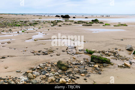 Blick entlang Sandstrand mit Steinen und Felsen bei Ebbe am hellen Morgen im Sommer, Fraisthorpe, Yorkshire, Großbritannien. Stockfoto