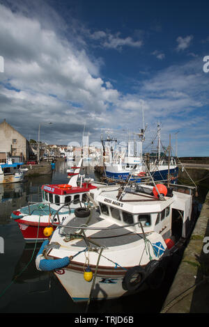 Dorf von Pittenweem, Schottland. Malerische Aussicht auf Pittenweem Hafen mit Fischerbooten vor Anker im Vordergrund. Stockfoto