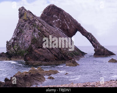 Iconic Bogen Geige Rock in der Nähe von Portnockie Moray Firth Speyside nördlichen schottischen Highlands auf Küste von Moray Trail in nisten Möwen, Stockfoto