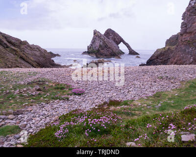 Iconic Bogen Geige Rock in der Nähe von Portnockie Moray Firth Speyside nördlichen schottischen Highlands auf Küste von Moray Trail Stockfoto