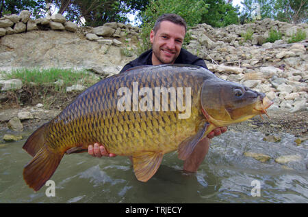 Lucky Fisherman Holding eine riesige Karpfen. Süßwasser Angeln Stockfoto