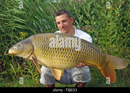 Lucky Fisherman Holding einen großen Karpfen. Süßwasser Angeln Stockfoto