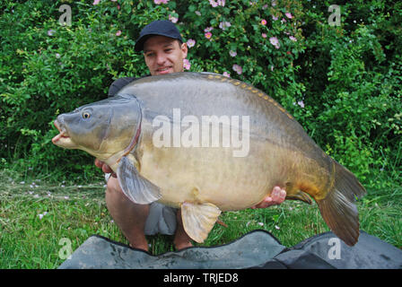 Lucky Fisherman Holding ein riesiger Spiegel Karpfen. Süßwasser Angeln Stockfoto