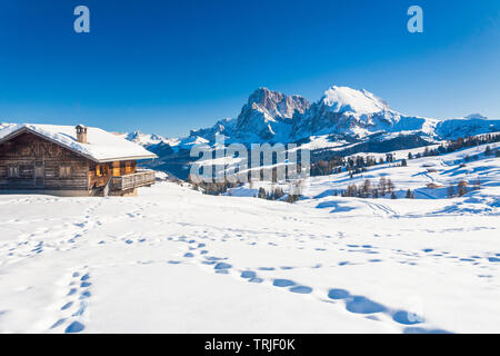 Plattkofel und Langkofel von snowy Hütten von Seiser Alm, Dolomiten, Südtirol, Italien Stockfoto