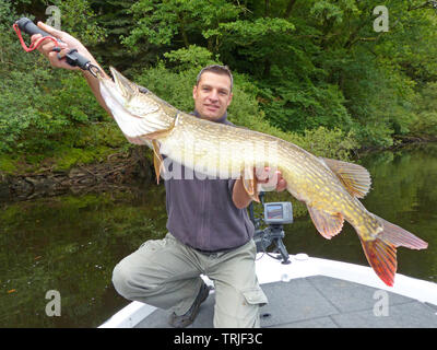 Fischer Holding einen grossen Hecht. Fang von Fisch, Süßwasser Angeln, Köder angeln Stockfoto