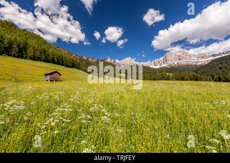 Holz Hütte (Maso) in grüne Wiesen mit Torri del Vajolet und Rosengarten im Hintergrund, Reifen, Tal, Dolomiten, Südtirol, Italien Stockfoto