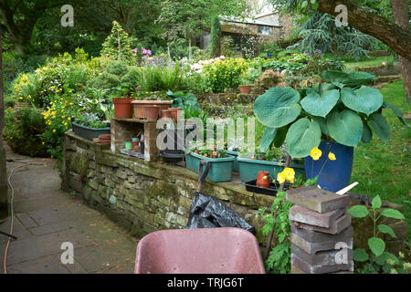Frühling Garten nimmt Gestalt auf dem Bauernhof amateur Garten auf 900 ft in Nidderdale. Torf Lane, Bewerley, Harrogate, N Yorks, Großbritannien. 04/06/19. Stockfoto