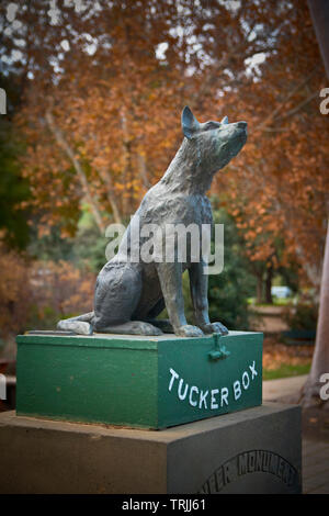 Der Hund auf dem Tucker Box Stockfoto