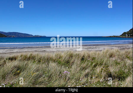 Wellen sanft Waschen auf den Strand bei Lyall Bay in der Nähe von Wellington, Neuseeland Stockfoto