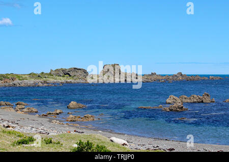 Schroffe Felsen ragen in die ruhige See an einem einsamen Strand auf der Cook Strait in der Nähe von Wellington, Neuseeland Stockfoto